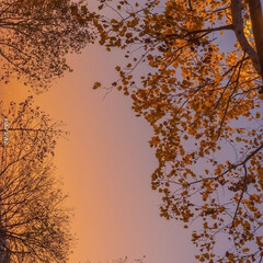 Сентябрь 2025