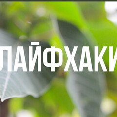 То, чему не учат в школах