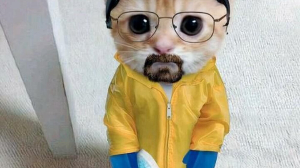 Наука и ноучпоп