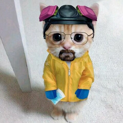 Наука и ноучпоп