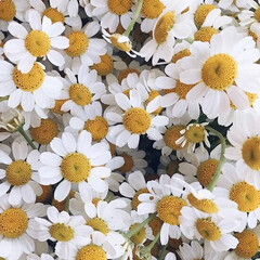 Летнее чтение