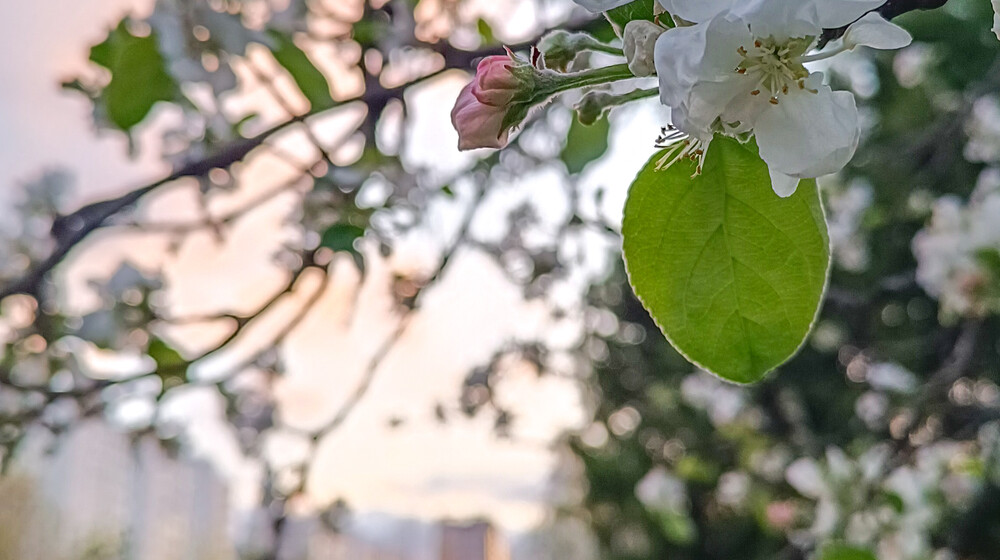 Оксана одобряет😌👌