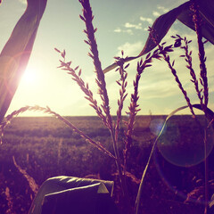 Психология