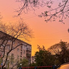 естественные науки