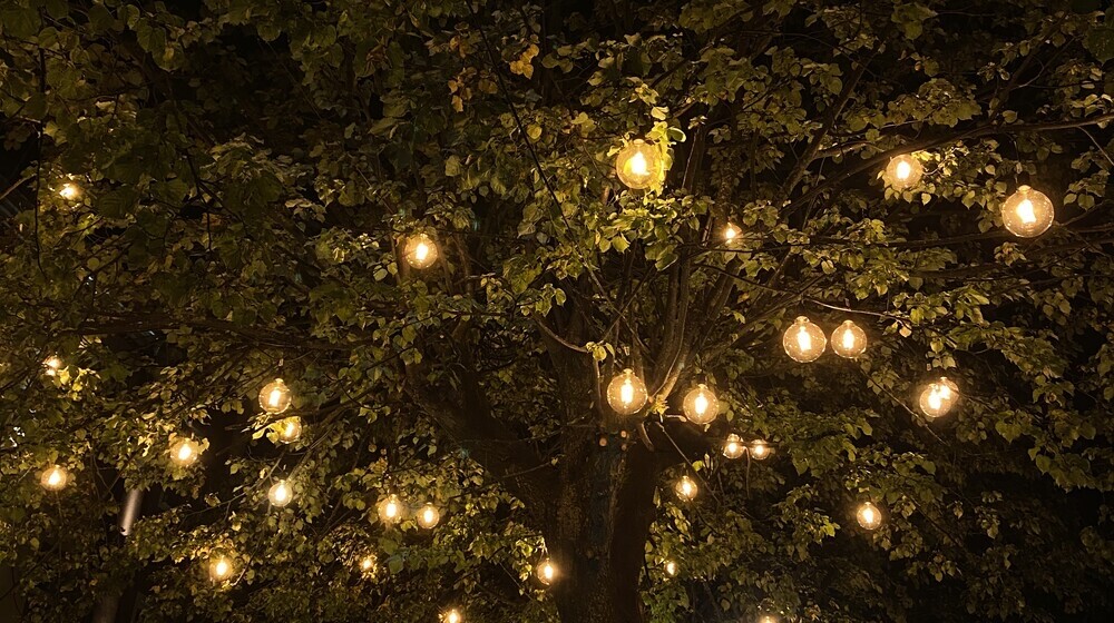 Славянское фэнтази