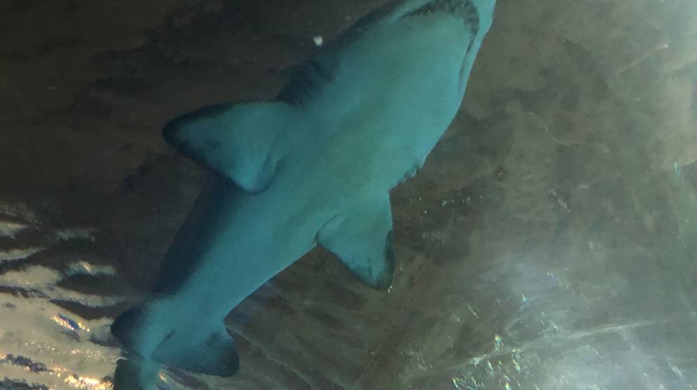 Проспект мира номер 4657к