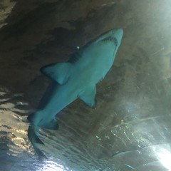 Проспект мира номер 4657к