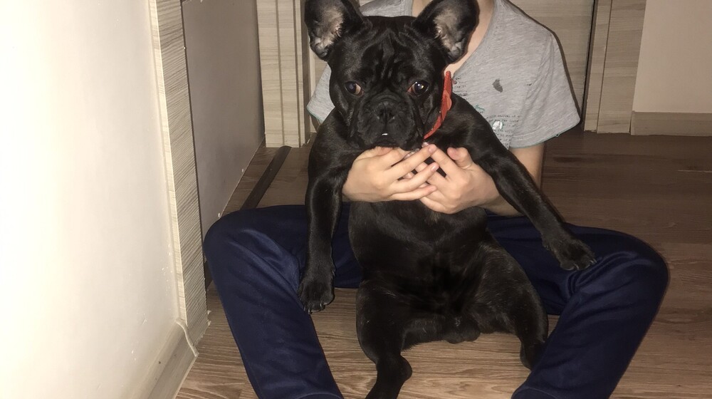 Женя в 6 класс