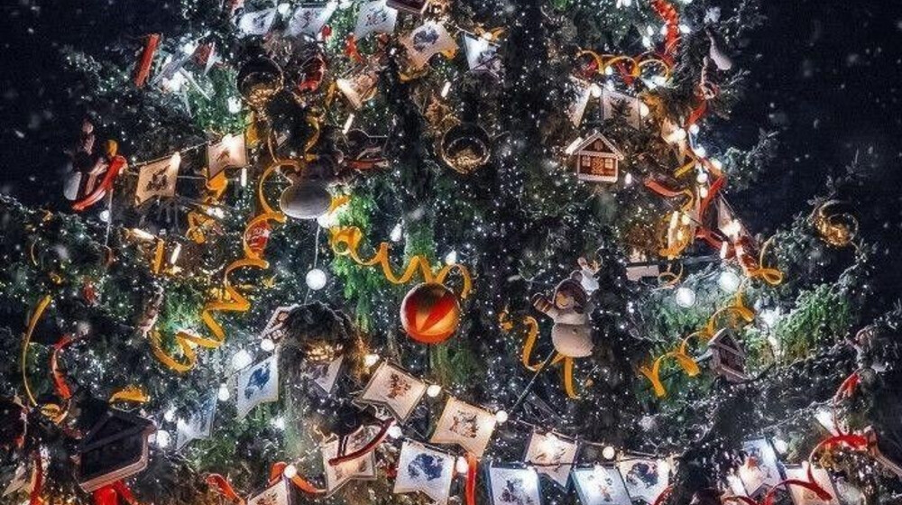 Книжный Адвент 2024