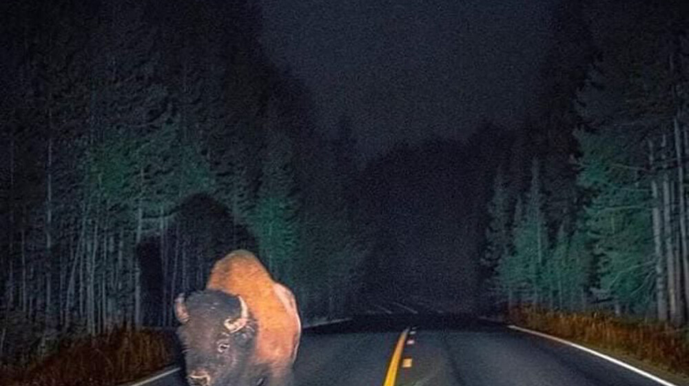 Любимые книги