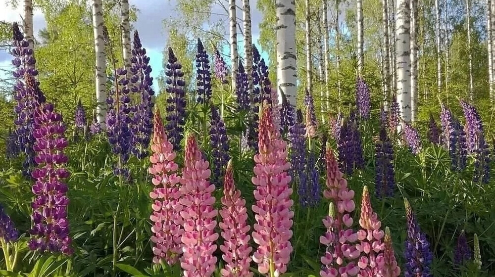 Философия, религия