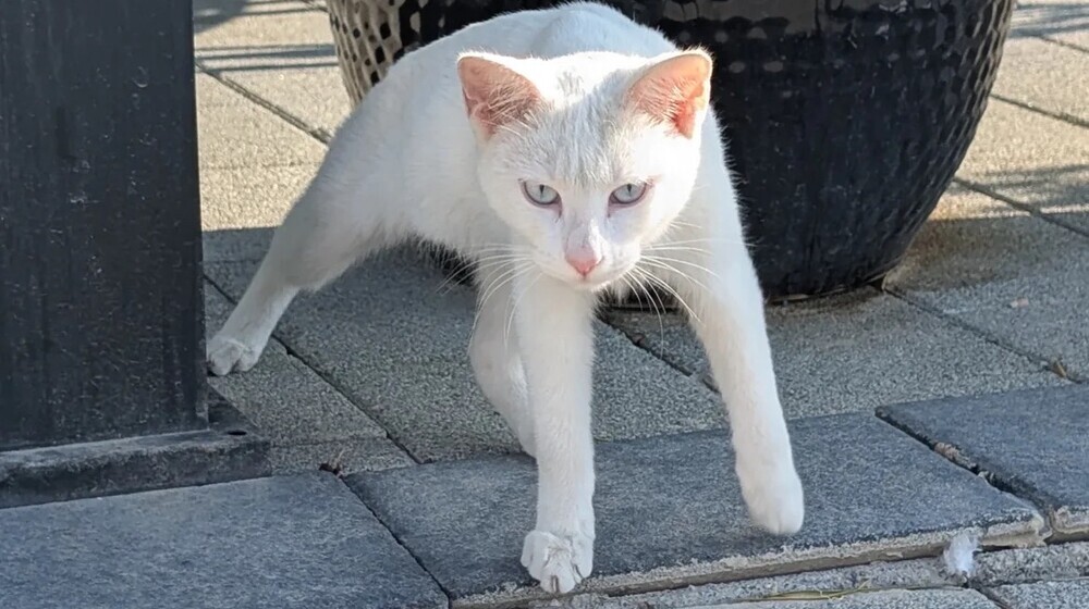 Самооценка