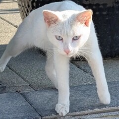 Самооценка