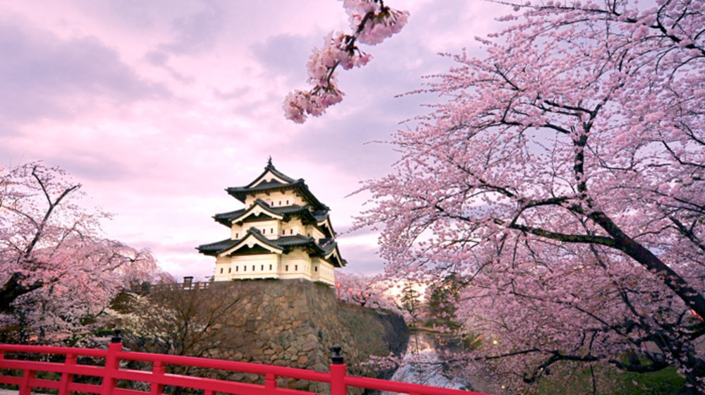 Саморазвитие