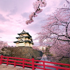 Саморазвитие