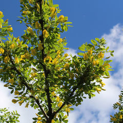 Бесплатное оффлайн