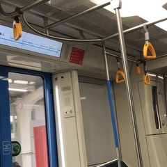 Анне-катрине вестли