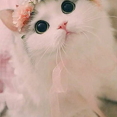 Нила 💞💗🌸❤️🌹