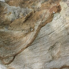 10 книг про нескучную старость