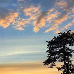 М. Ю. Лермонтов