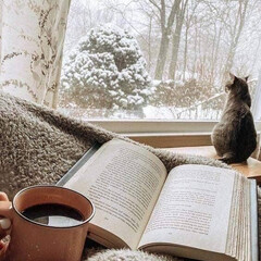 Зимняя пора ⛄