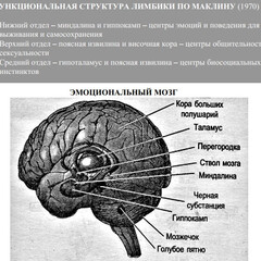 Профполезное