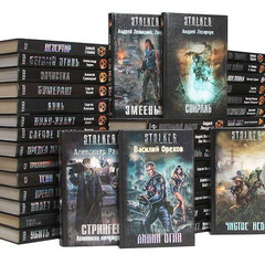 СЕРИЯ: "S.T.A.L.K.E.R."