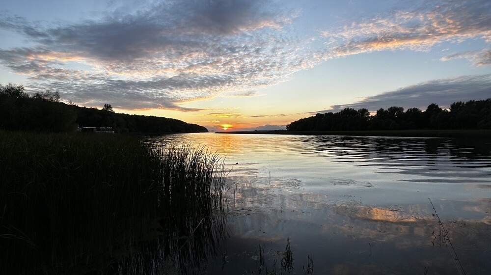 Чтение на лето между 7 и 8 классами