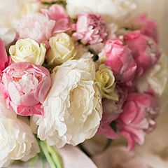 Лора Ли Гурк Романы