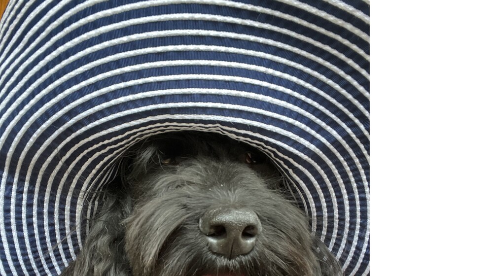 Легкое чтиво 