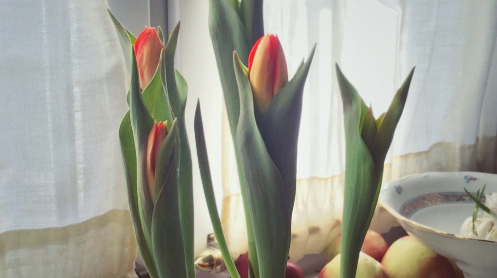 ЗОЖ И СТИЛЬ ЖИЗНИ