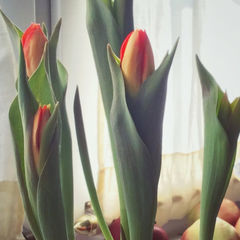 ЗОЖ И СТИЛЬ ЖИЗНИ