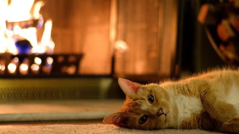 Уютное зимнее чтение