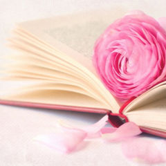 Карьера и бизнес