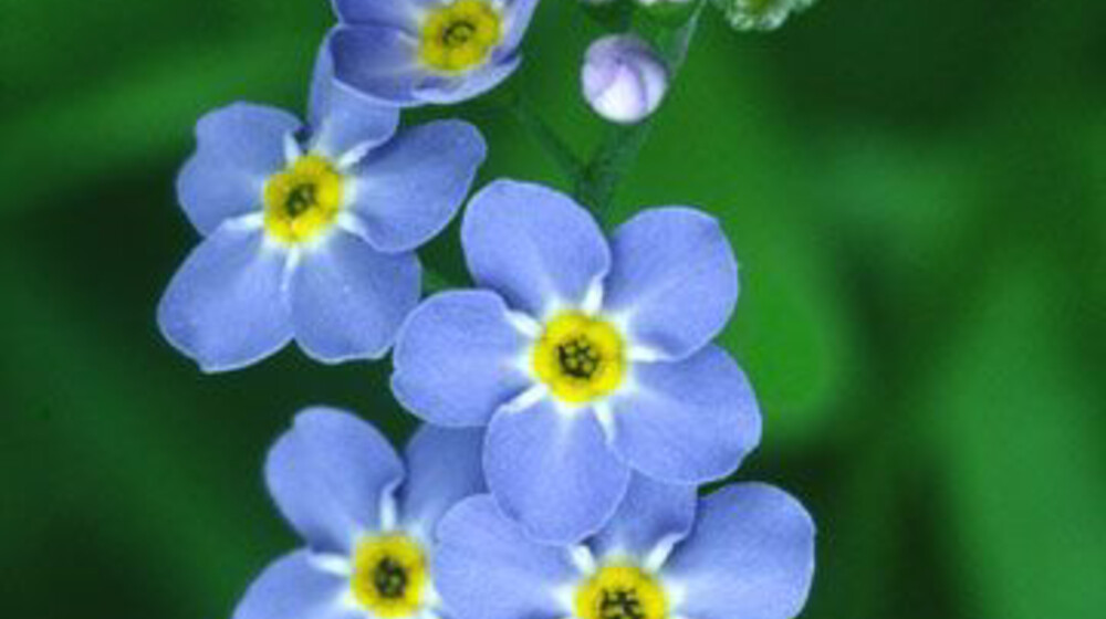 Социокультурная антропология 💠✅