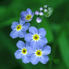 Социокультурная антропология 💠✅