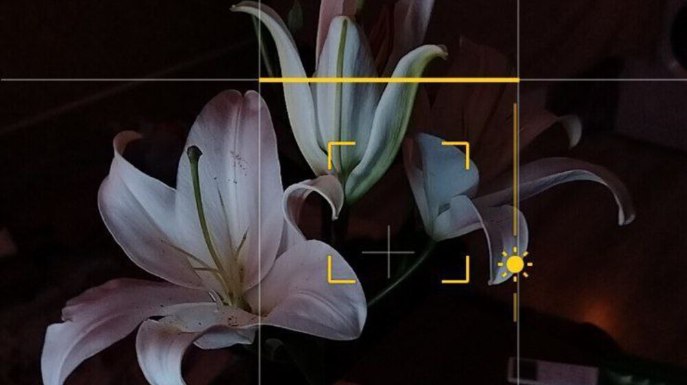 World reading challenge