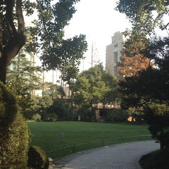 Changing perspective