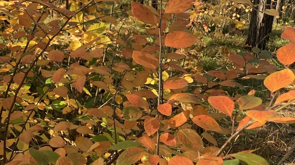 Книги на осень 🍂