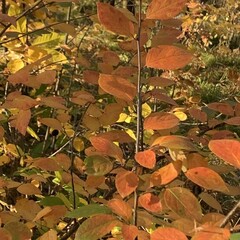 Книги на осень 🍂