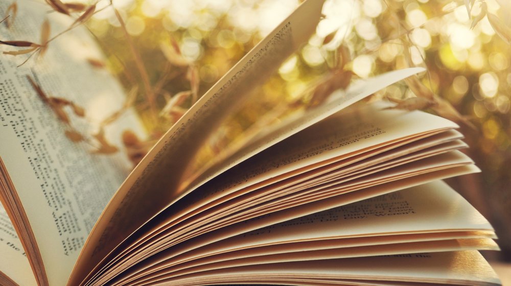 Материалы "Реального времени"