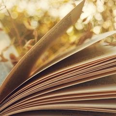 Материалы "Реального времени"