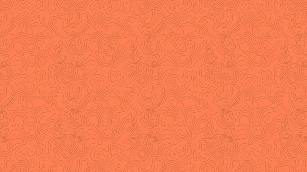 Развитие организаций