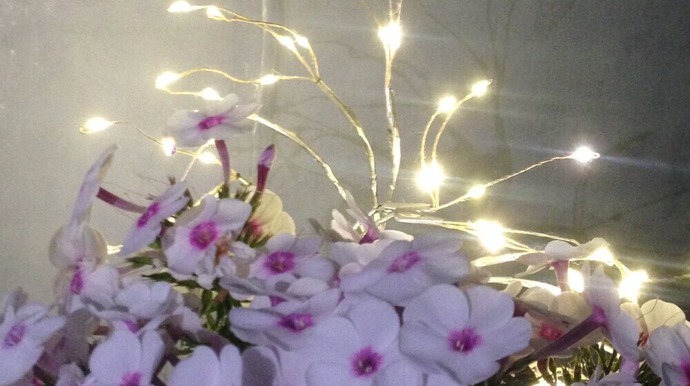 Саморазвитие