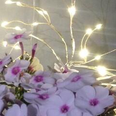 Саморазвитие