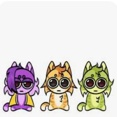 Котики мои любимые питомцы