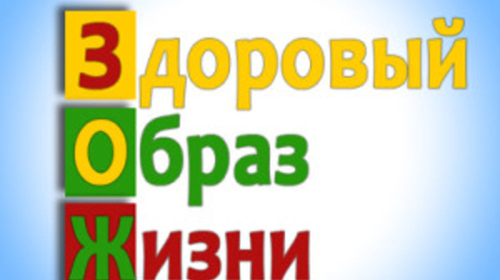 Спорт, ЗОЖ, питание.