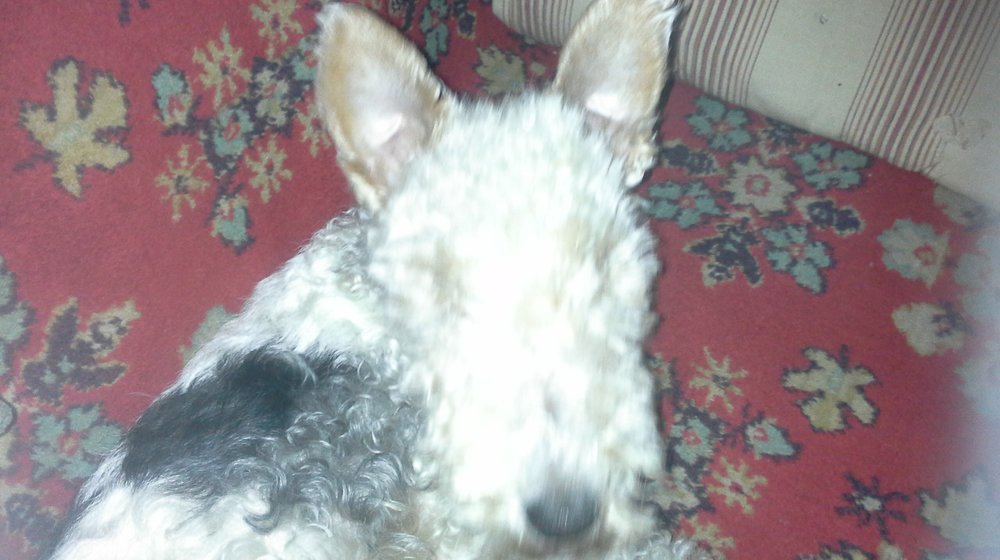 Моя любимая фантастика