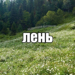 Рус лит начало 21