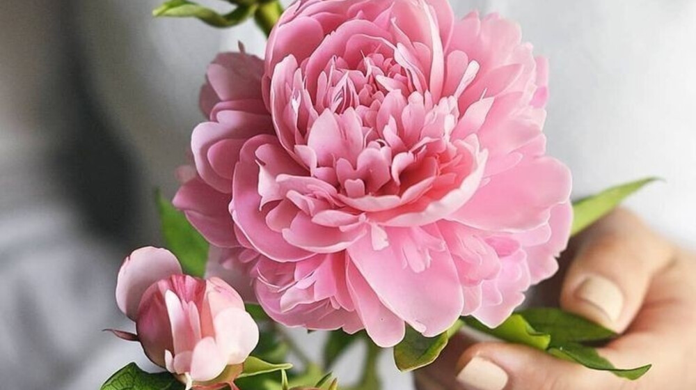 Про счастье